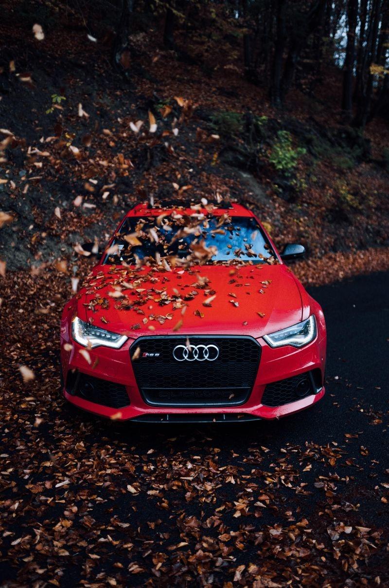 audi with car wax protecting it from leaves