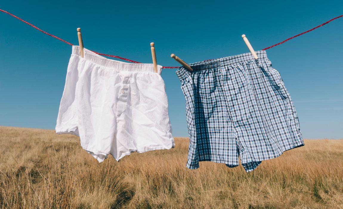 boxer shorts or briefs for men's comfort and health
