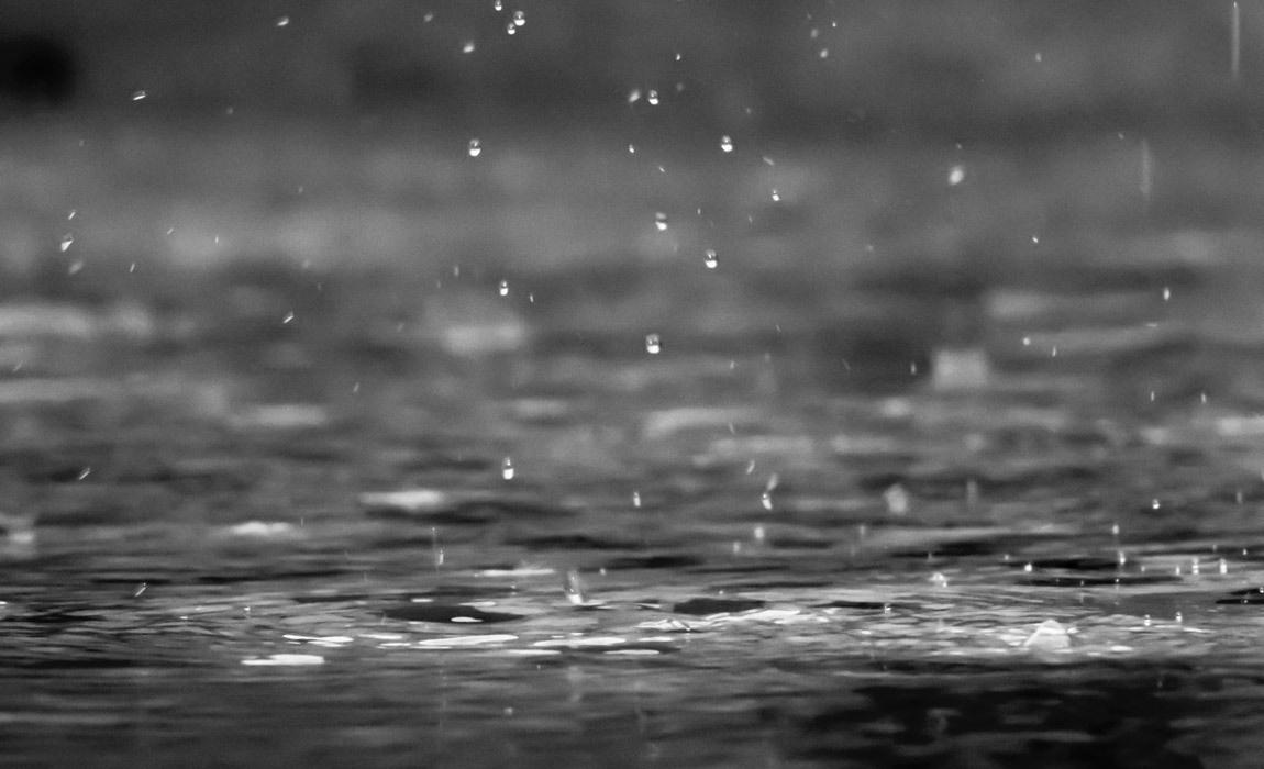 Collecting rain  for use around the house is a great way to conserve water