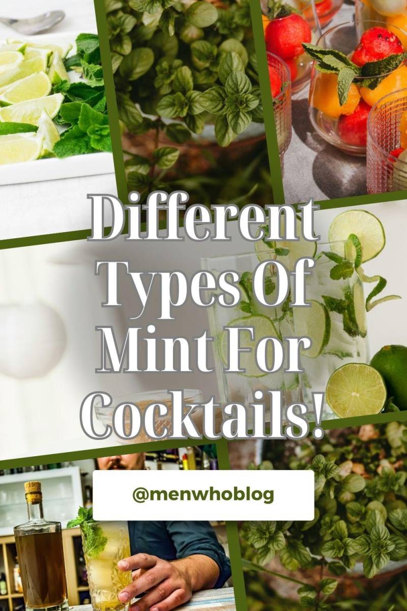 different mint varieties to consider for your cocktails
