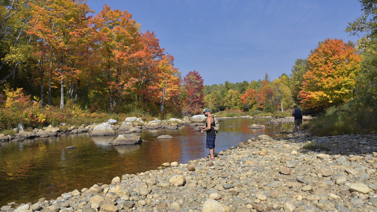 Fall foliage along a river in New Hampshire's White Mountains (photo credit: Mt. Washington Valley)
