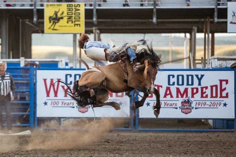 Saddle bronc rider at the Cody Stampede rodeo in Cody, Wyoming (photo credit: Cody Yellowstone)