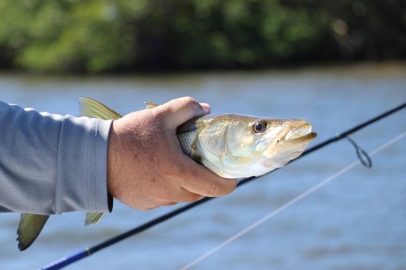 fishing in florida