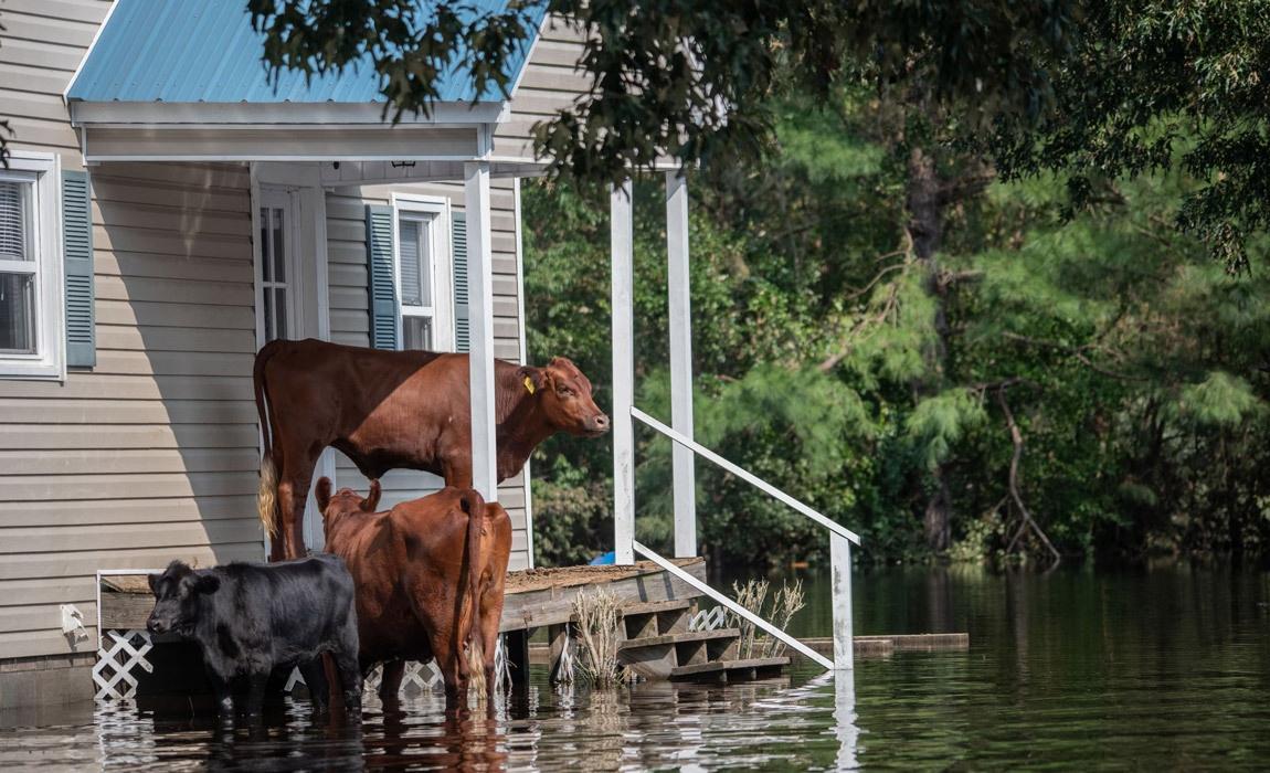 preparing your home for potential flooding damage