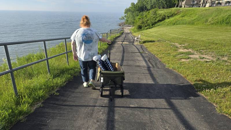 rtic wagon review picnic