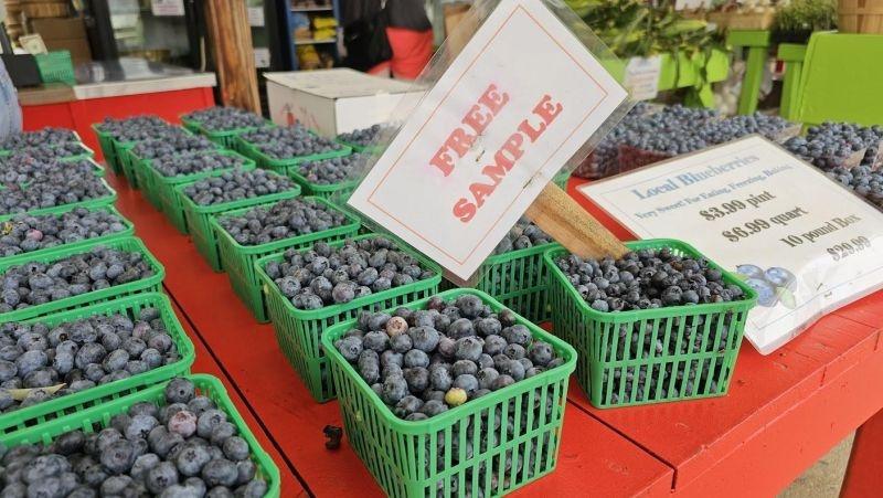 free sample farm fresh blueberries at fruit acres