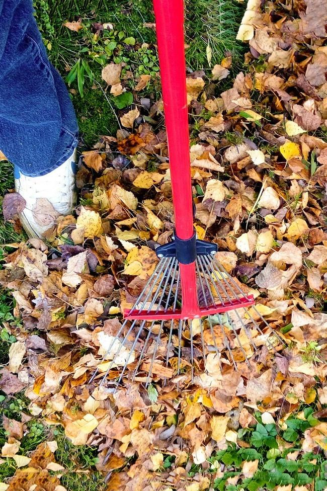 yard work can help burn calories and strengthen muscles