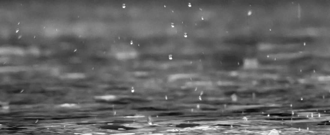 Ways To Conserve Water By Collecting Rain For Use Around The House