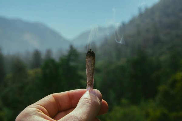 Understanding The Dangers And Health Benefits Of Being California Sober