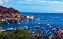 15 Things We Love About Catalina Island California