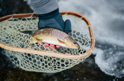 Why Starting A New Hobby Is A Great Way For Men To Recenter Their Physical Mental Health