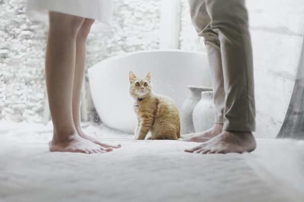 How To Have A Smooth And Quick Divorce With Minimal Drama