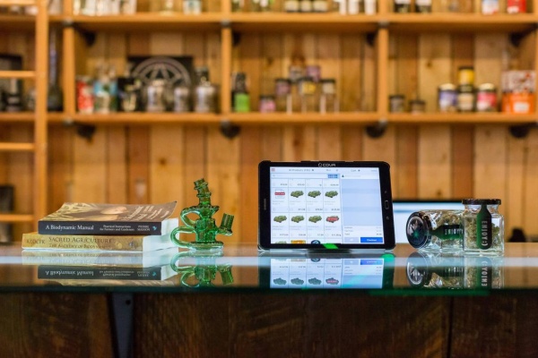 Choosing Cannabis Dispensaries: Professional Standards vs Headshop Stereotypes