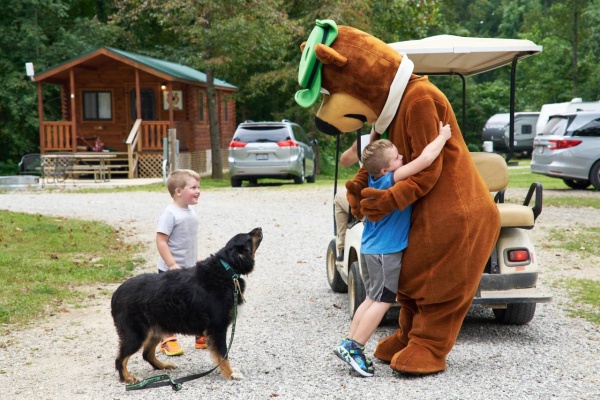 8 Top Dog-Friendly Fall Camping Destinations and Pet-Friendly Tips To Make The Trip Awesome