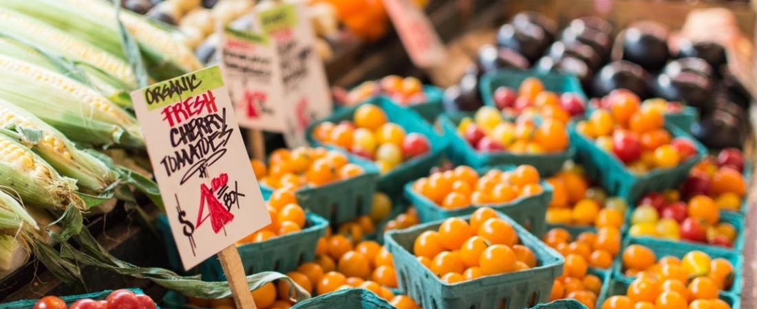 What it Takes to Succeed as a Merchant at a Farmers' Market: A Guide for Beginners