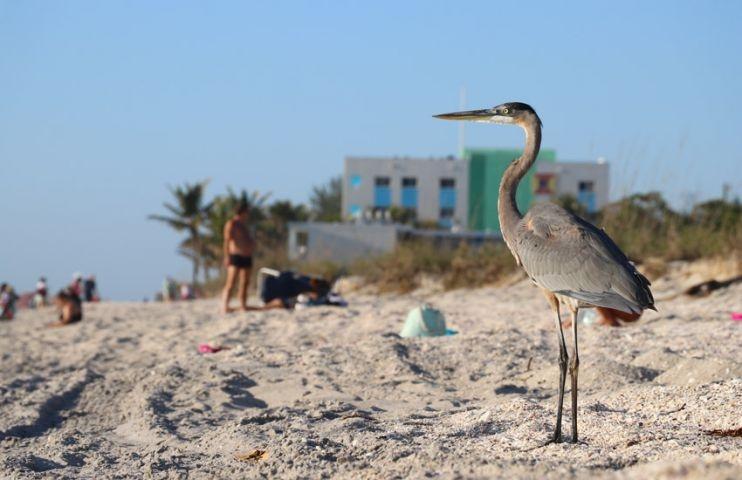 englewood beach punta gorda florida