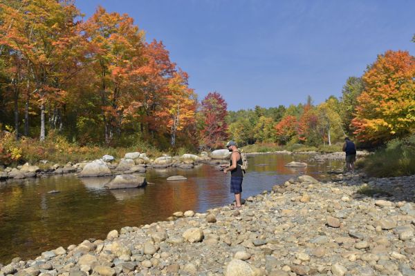 Fall Weekend Trips To Take With The Kids