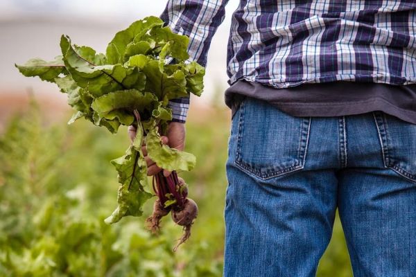 Myths About Farmers: Debunking Common Beliefs