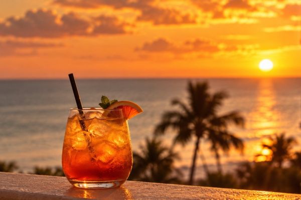 What Makes A Good St Pete-Clearwater Vibes Officer – This Person Has The Answer