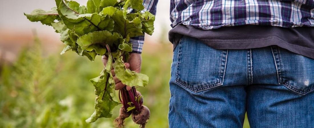 Myths About Farmers: Debunking Common Beliefs