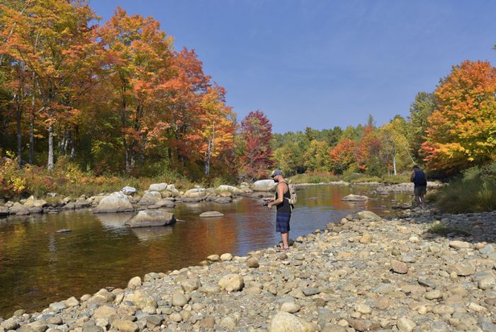 Fall Weekend Trips To Take With The Kids