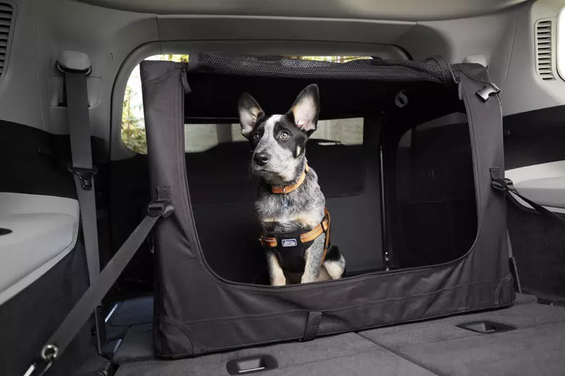 dog carrier in 2021 jeep grand cherokee