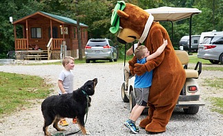 Fall Camping with Your Dog