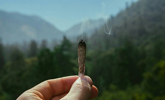 california sober comparison to alcohol