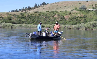 fly fishing in montana