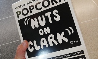 Chicago skyline and lakefront family vacation destination