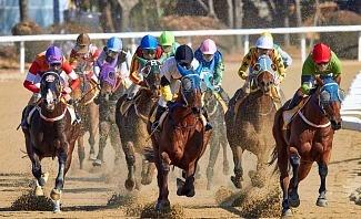 horse racing and what you need to know about betting