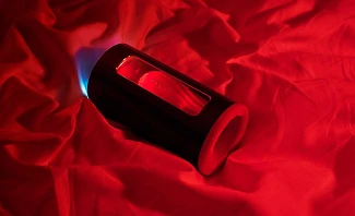 LELO F1s review